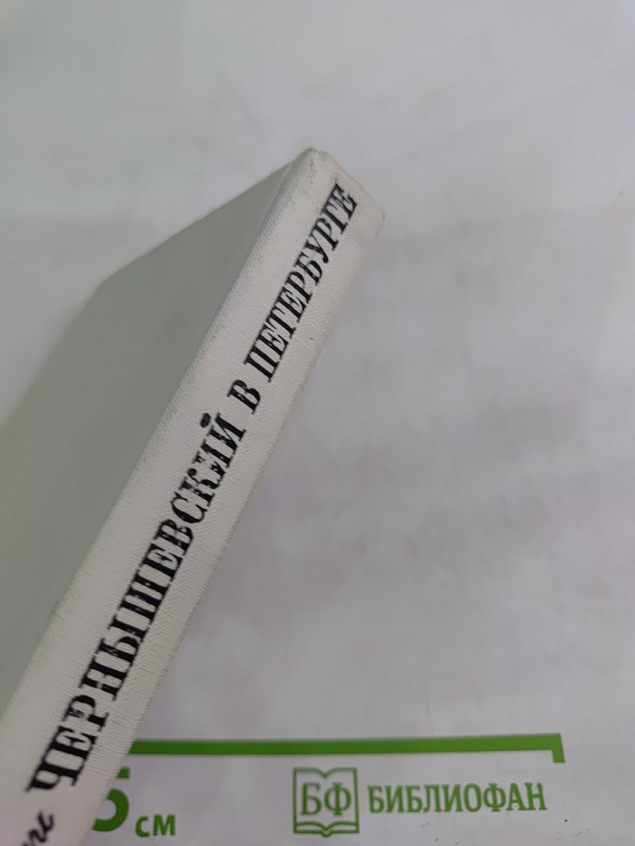 Чернышевский в Петербурге