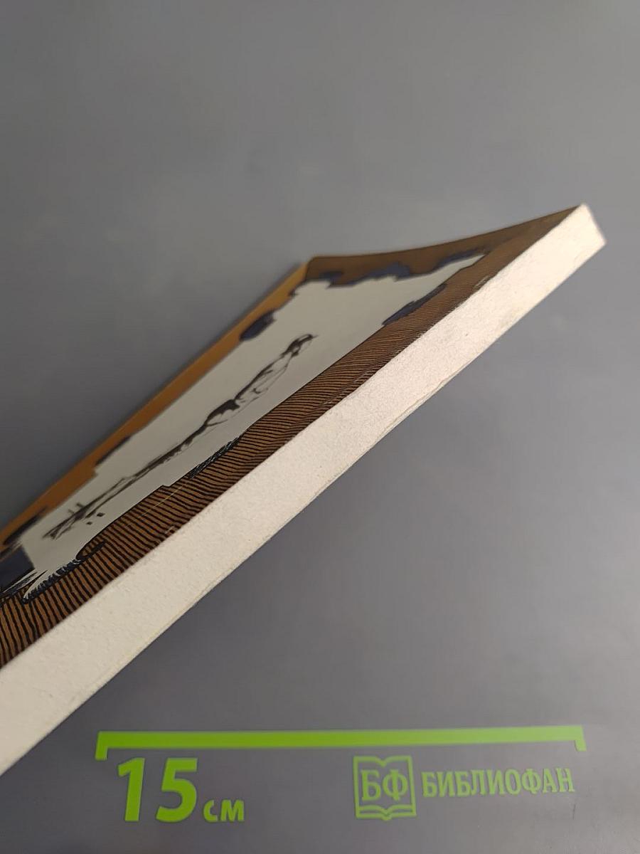 Охотница за скальпами. Городъ прокаженнаго короля.