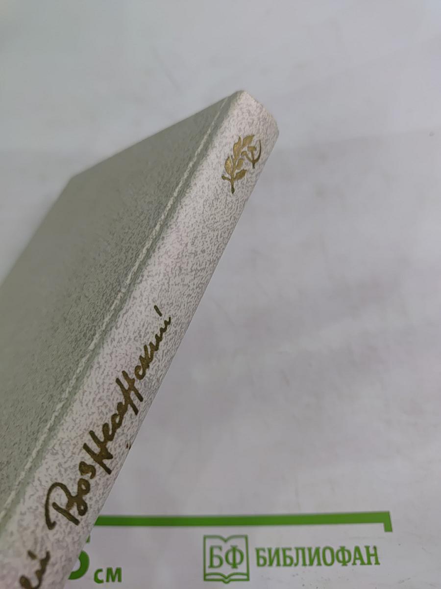 Витражных дел мастер