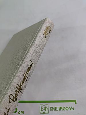 Витражных дел мастер