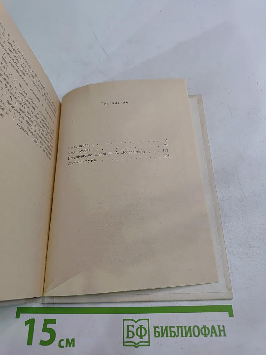 Добролюбов в Петербурге