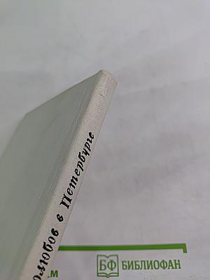 Добролюбов в Петербурге