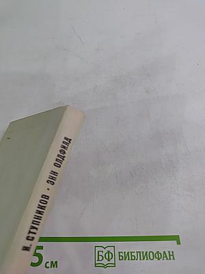 Энн Олдфилд