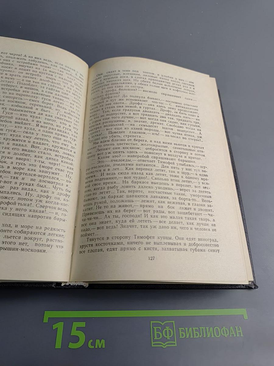 Неторопливое солнце