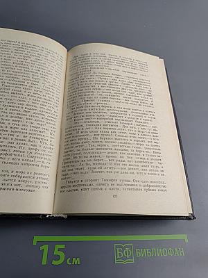 Неторопливое солнце