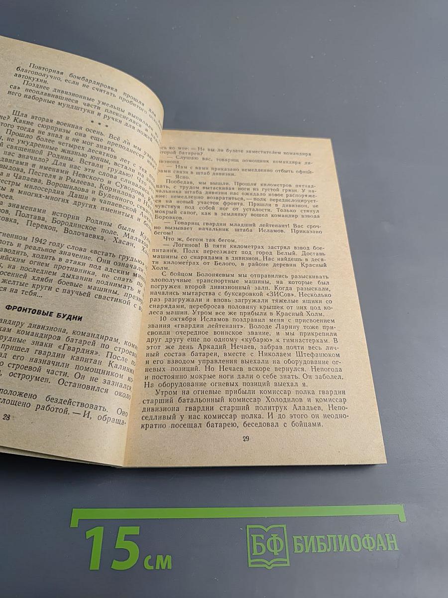 Огонь Возмездия