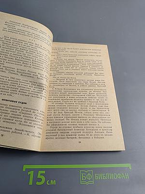 Огонь Возмездия