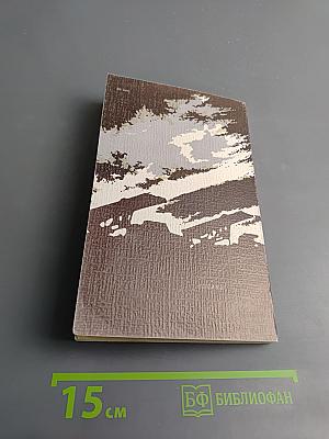 Огонь Возмездия