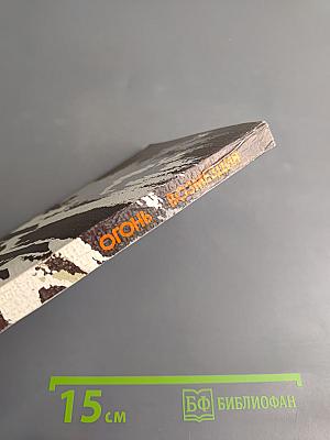 Огонь Возмездия