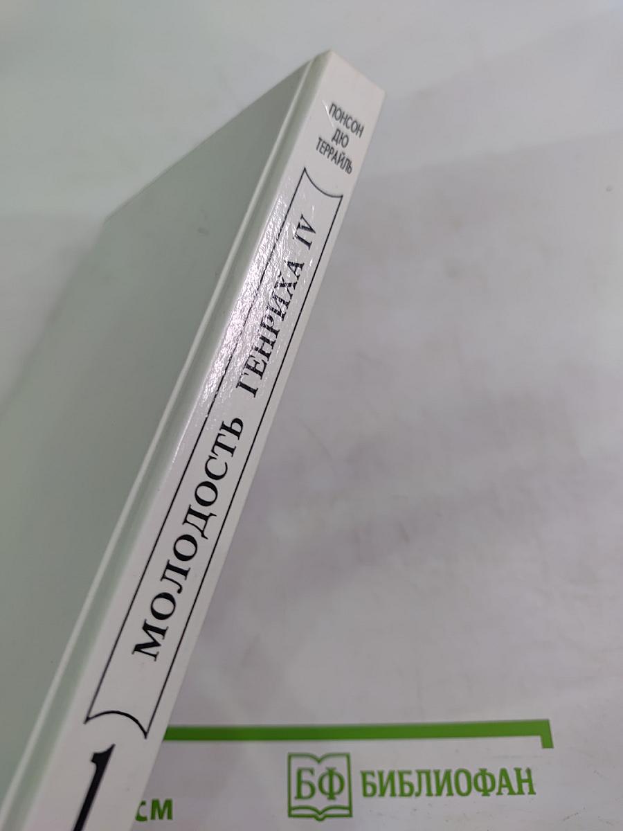 Молодость Генриха IV