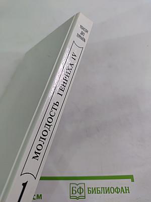 Молодость Генриха IV