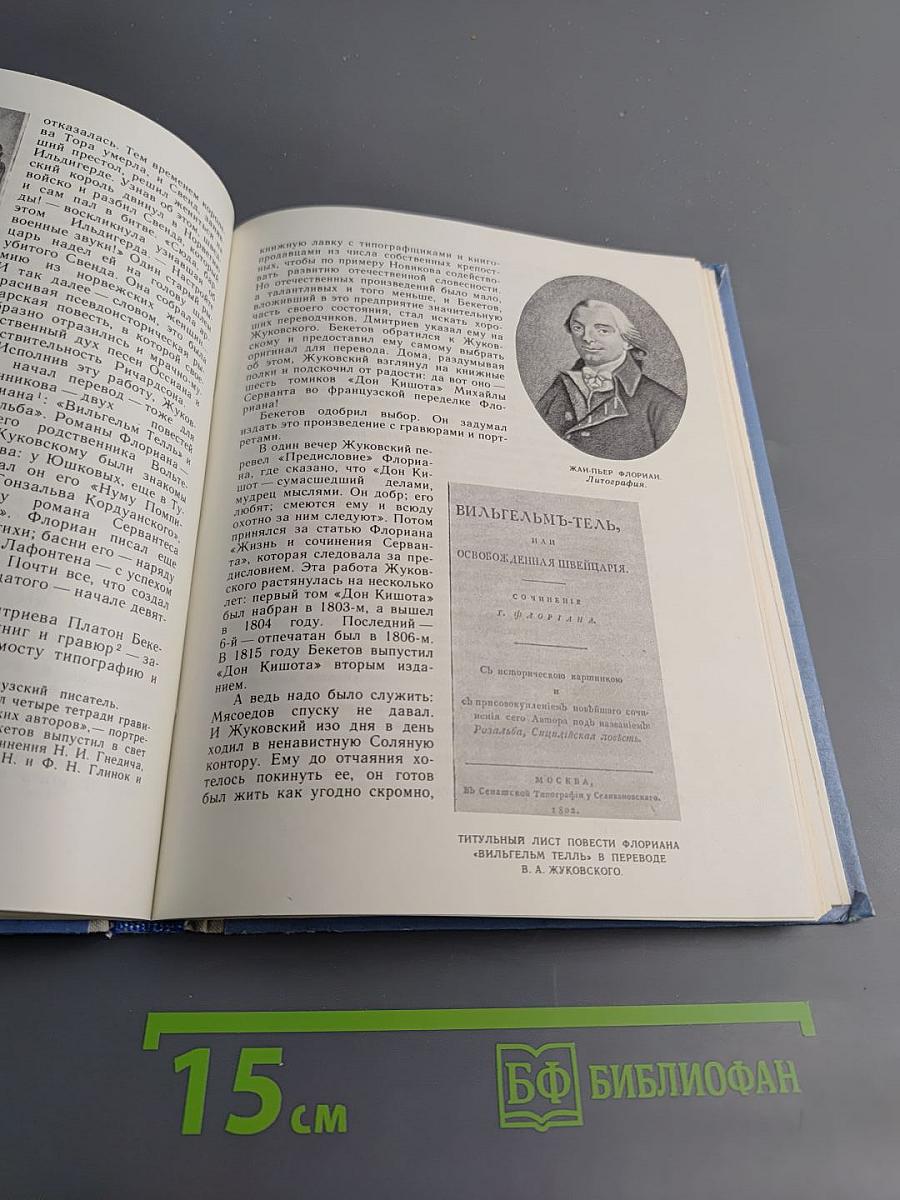 Родного неба милый свет...