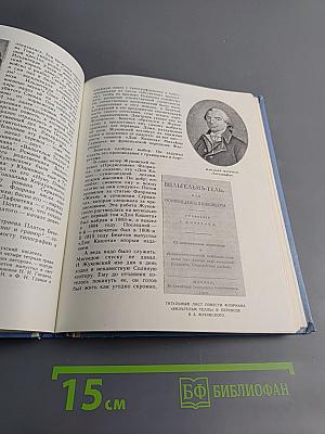 Родного неба милый свет...