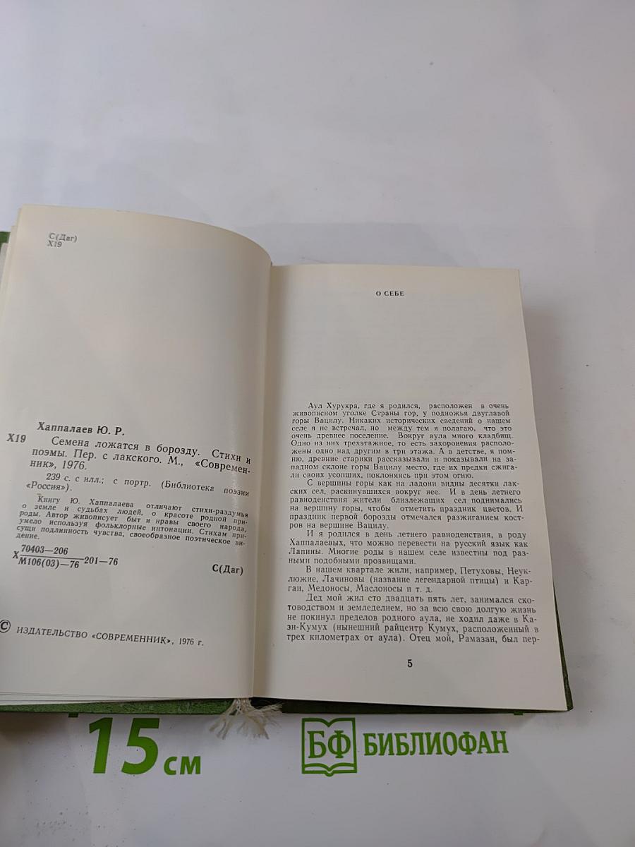 Семена ложатся в борозду