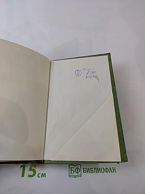 Семена ложатся в борозду