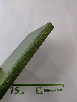 Семена ложатся в борозду