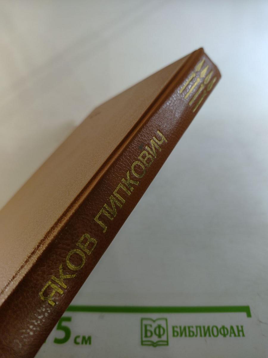 Так мало нас осталось. Забытая дорога