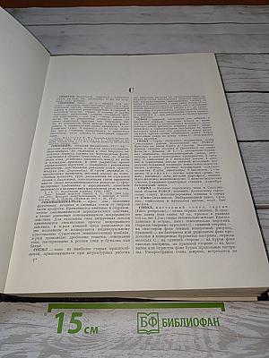 Большая Советская Энциклопедия. Том 40. Согдики - Стилоспоры