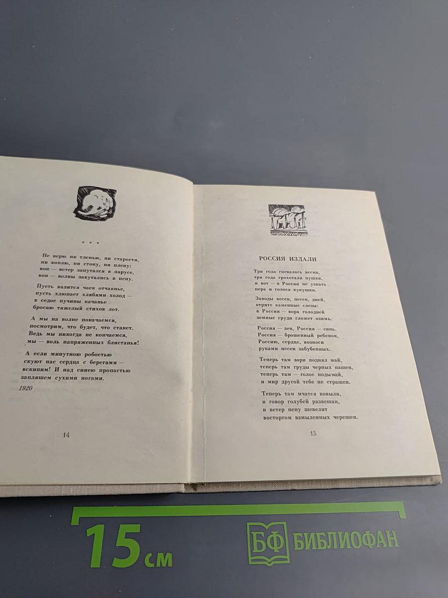 Избранная лирика