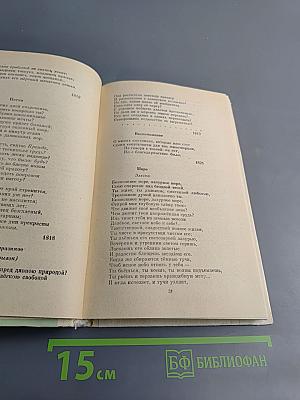 Русская поэзия XIX в.