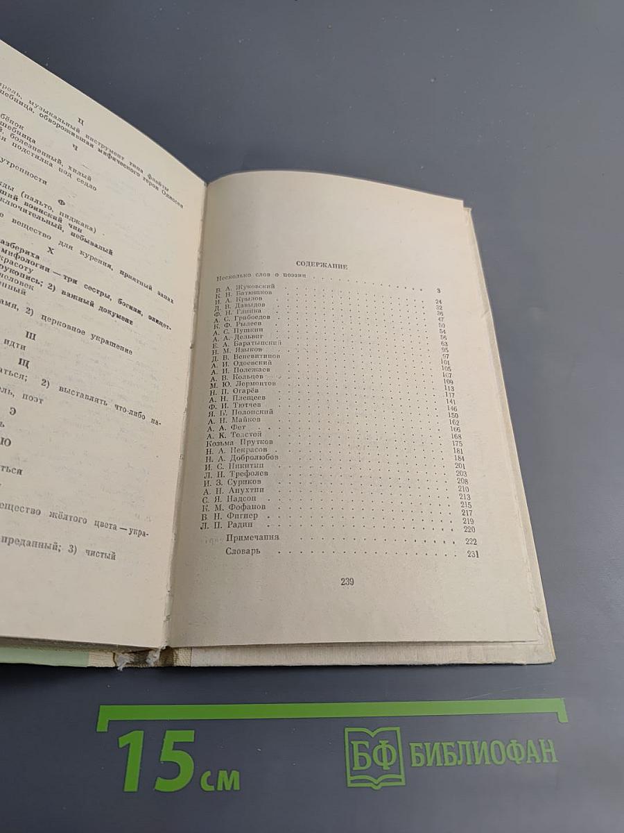 Русская поэзия XIX в.