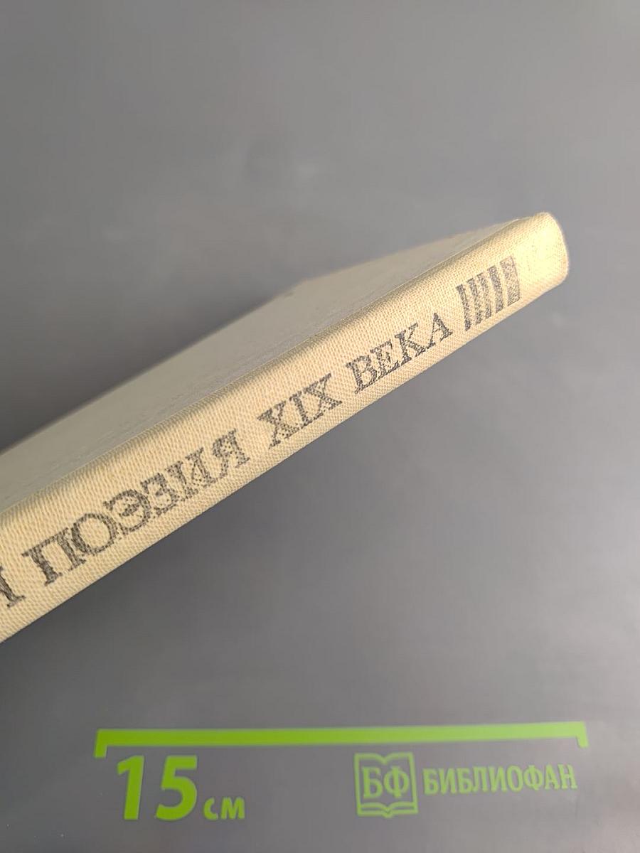 Русская поэзия XIX в.