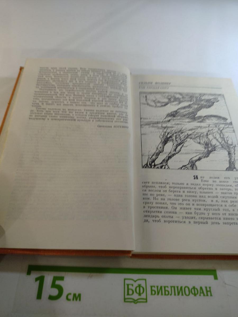 Гон спозаранку