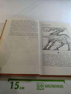 Гон спозаранку