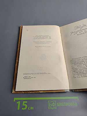 Дорожная дума