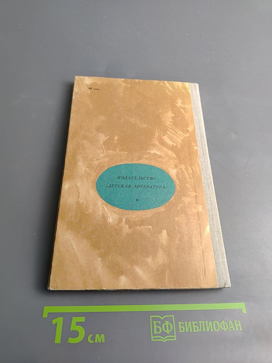 Дорожная дума