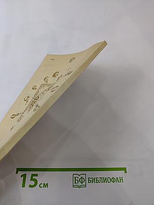 Тайна «Дьявольского» камня