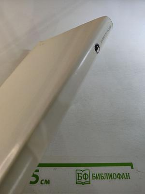 Павел Мочалов