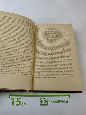 Братья Шелленберг