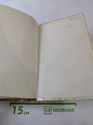 Беглые в Новороссии. Воля. Княжна Тараканова