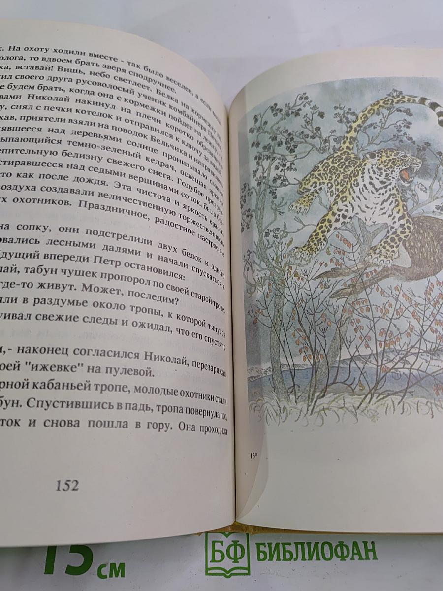 Последний барс. Книга 2