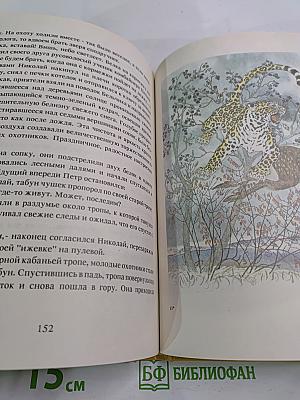 Последний барс. Книга 2