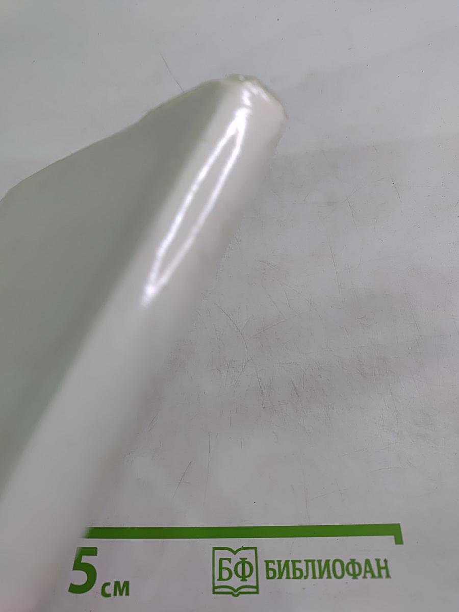 Последний барс. Книга 2