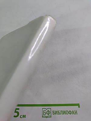 Последний барс. Книга 2