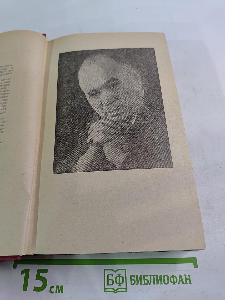 Точка опоры. Роман в двух книгах