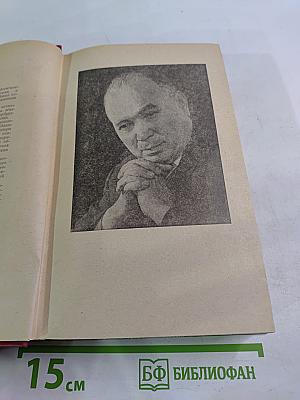 Точка опоры. Роман в двух книгах