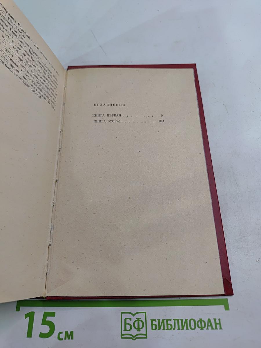 Точка опоры. Роман в двух книгах