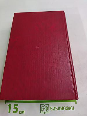 Точка опоры. Роман в двух книгах