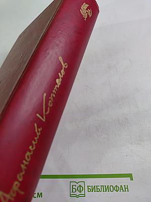 Точка опоры. Роман в двух книгах