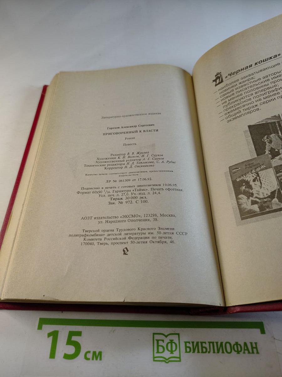 Приговоренный к власти