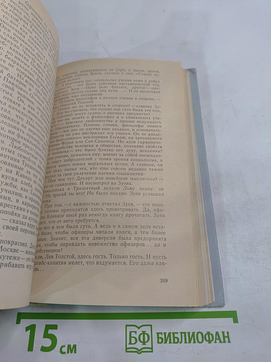 История четырех братьев. Годы сомнений и страстей