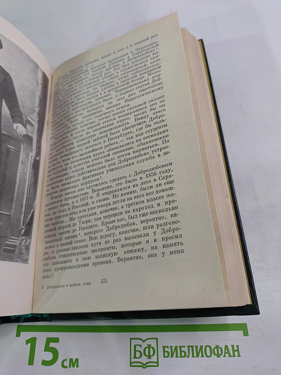 Н. А. Добролюбов в воспоминаниях современников