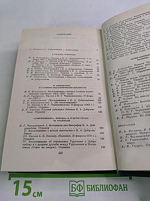 Н. А. Добролюбов в воспоминаниях современников