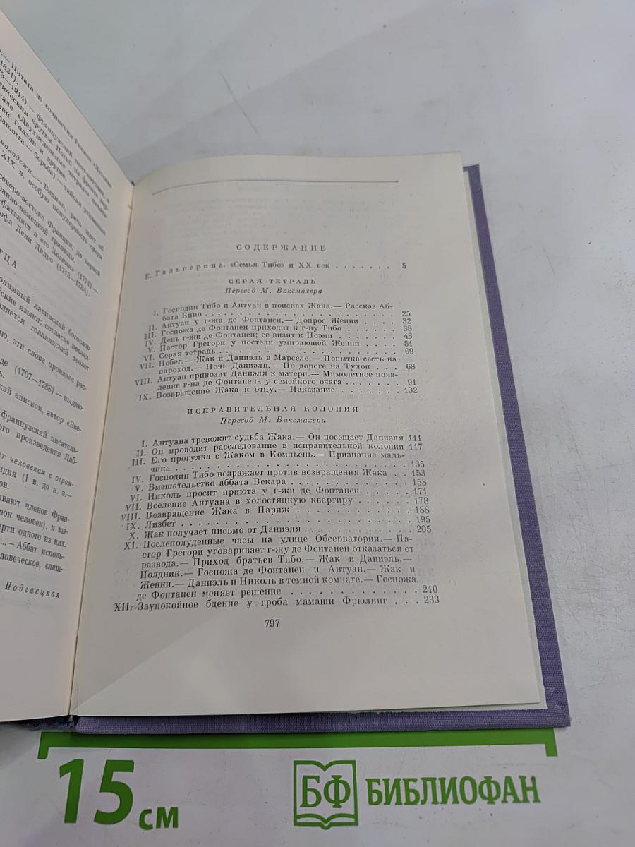 Семья Тибо, Том I