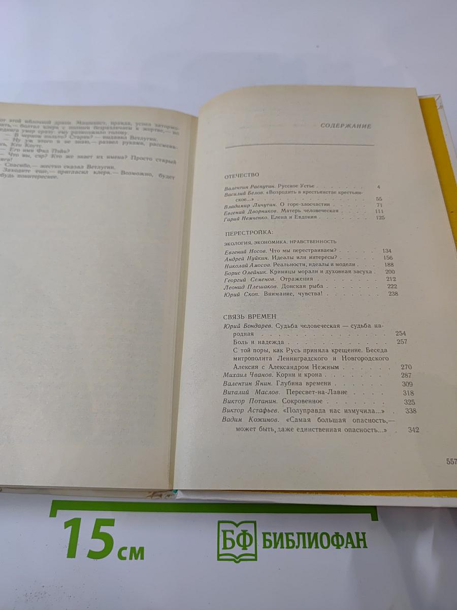 Писатель и время. Сборник документальной прозы
