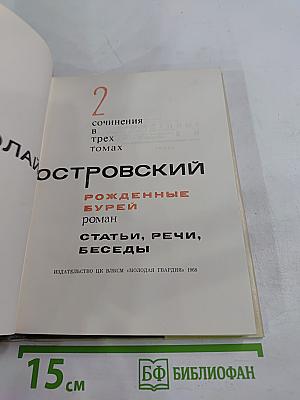 Рожденные бурей. Том 2